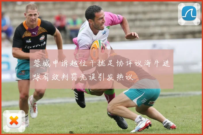 蓉城申诉越位干扰足协评议海牛进球有效判罚无误引发热议